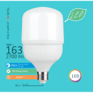 LED SIJALICA 30W E27 2700LM 100X171MM  6500K  ECO  